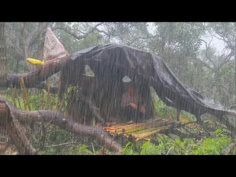 Build a Rain Shelter Quickly and Simply