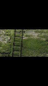 16K views · 252 reactions | MUDLARKING A film by Kit Harwood. This is why I mudlark. #mudlarking #mudlark #larking | London Mudlark: Lara Maiklem Mudlarking | Facebook