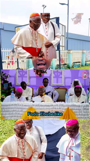 Wisdom of Francis Cardinal Arinze: Do you call a Priest when someone is sick or when he is almost dying? | FADA Ebubedike