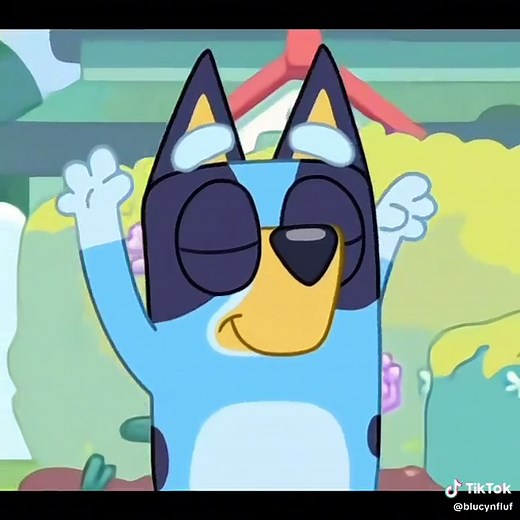 Bluey Cartoon Edits and Fun Character Highlights