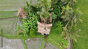 Traditional Tree House Eco Huts amid Rice Paddies of Ubud, Bali. Aerial