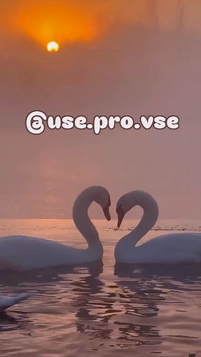 1.2K reactions · 243 shares | ... #усепровсе #притча #притчі #кохання #музика #почуття #мелодія #піаніно #слова | Use Pro Vse | Facebook