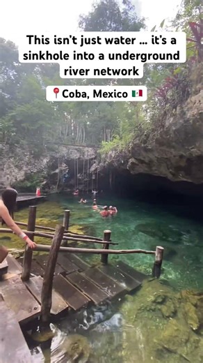 Cenote Coba Mexico #travel #mexico