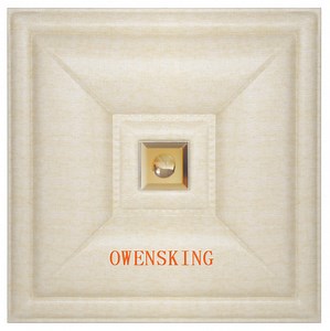 [Hot Item] 3D PVC Roof Fire Resistant Polyester Fiber Acoustic Panel / Ceiling Wall Panel