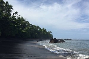 Corcovado National Park Full Day Tour - Costa Rica Experts