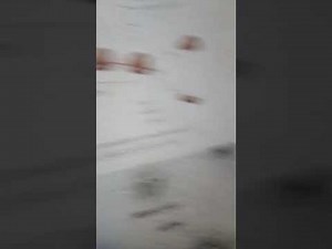 biology (Targeting polypeptides to specific location)