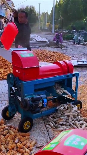 AGRITECH || Proses merontokkan jagung #shorts