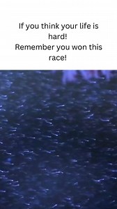 Physynapse | You win 'W' ✨ Exam Stress Tips. 🔴Tips to relieve exam stress 🔵Exams can be stressful, but there are several strategies you can use to... | Instagram