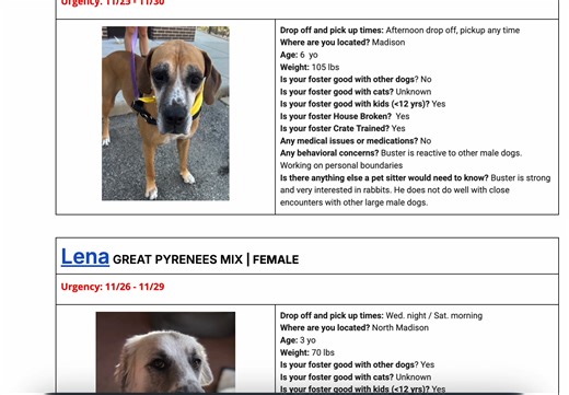 Our sitter request list is filling up! Are you looking for a way to spread a little extra kindness this busy holiday season? We’re looking for volunteers to help dogsit while many of our regular fosters are traveling. A few days in a calm, loving home makes an enormous difference for these pups. By giving them a soft place to land while their fosters travel, you're helping them relax, build confidence, and feel safe while they wait for their forever families. If you’ve got some time, a cozy couc