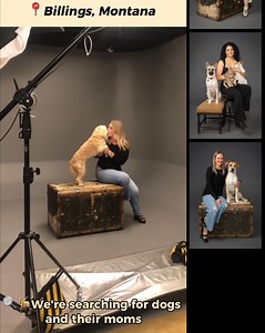 ❤️🐶 Dog moms! Do you have the cutest fur baby? We’re searching for dogs and their moms for an exclusive portrait project that is about capturing the love & connection people share with their fur kids. 🎁 If your entry is chosen you will receive a professional portrait session that comes with artwork for your fur family! We'll be selecting applications EVERY WEEK so apply below to be considered! | Clark Marten Photography