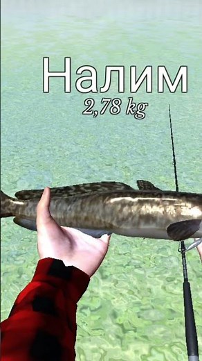ultimate fishing simulator @spinning simulator