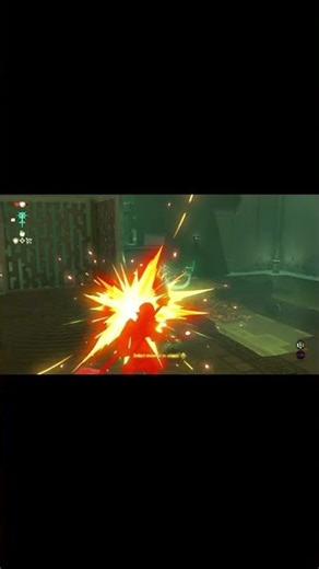 TOTK Bow & Arrow, Don't do This #die #zelda #totk #tearsofthekingdom