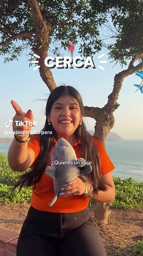Escapada Perfecta a Paracas e Ica en 2 Días