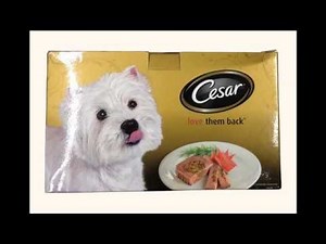 Cesar Wet Dog Food 5 flavors