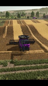 Harvesting barley with a purple New Holland combine harvester! #Farming #farmingsimulator25 #agriculture #barley #newholland | Mazarat Gaming