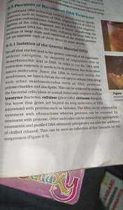 Processes of Recombinant DNA TechnologyDescribe the processes... | Filo