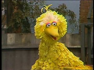 Sesame Street - Big Bird sings "I Wonder How It Feels"