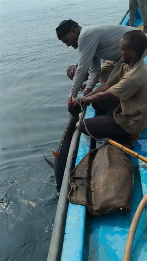 maa boat fisherman shocking 🦈⚓🎣🐟#fishing