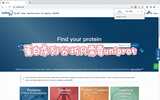 蛋白序列分析只需要uniprot就够了
