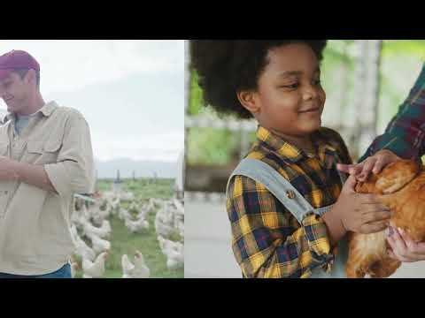 Larger eggs and harder shells: the incredible effect of charcoal on metabolism