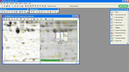 PDQuest™ Software Tutorials