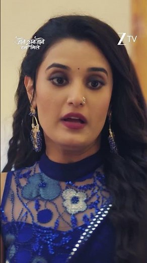 Jaane Anjaane Hum Mile | Ep 291 | Zee TV HD