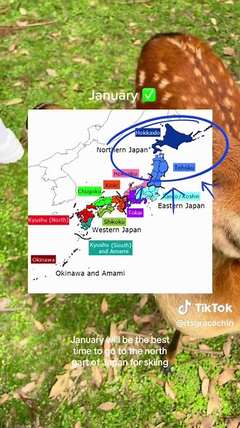 Avoid Japan Travel During These Months