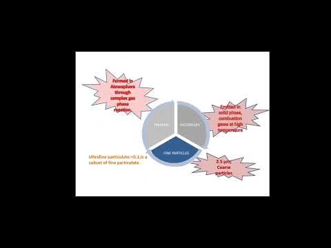 Direct Instruction Method by Prof. P.M. Raut