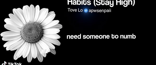 habits (stay high) >>> #song #lyrics #music #musicvibes #fyp