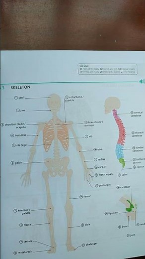 English for Everyone Illustrated Dictionary 10,000 english words