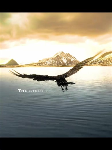 9.1K views · 45 reactions | ️Alpha 2018 #everyonehighlights #movietime #movieclips #reelsvideoシ #reelsviralシ #fypシ゚viralシ #reelsviralシfb #fypviralシ #viralvideoシ #Film | Just Kathy | Facebook