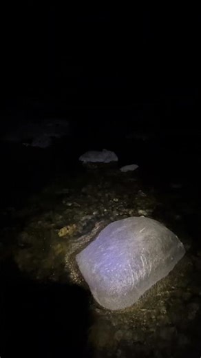 Hot Night Surprise: Barefoot River Cool-Down!