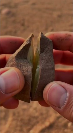 Is this a Fossil or a Crystal? Rare Green Geode Reveal! ⚒️💎
