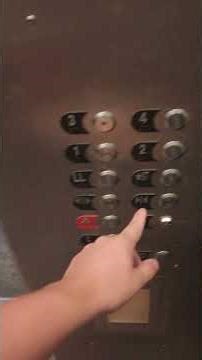 Do The Yes And No Buttons Work As A Door Open And Door Close??? #elevator #lift #shorts