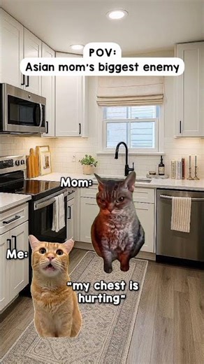 CAT MEMES 😼 || Asian mom's biggest enemy..#catmemes #Asian mom's #phone #viralshorts #latestmeme