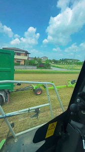 Last train 🚂🚋🚃 #ginki | Gomiero Farm