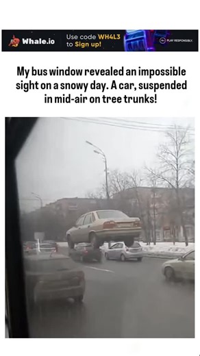 curvico_explained on Instagram: "The post shares a 10-second bus-window video of a beige sedan wedged horizontally between two bare tree trunks about 10 feet above a snowy urban street, creating a gravity-defying optical illusion that has drawn 1.6 million views and 2,000 likes since yesterday. User reactions mix jokes about magic or AI fakery with genuine wonder, while the author responds wittily, amplifying the thread's viral, entertaining tone amid Canada's recent heavy snowstorms. Such suspe