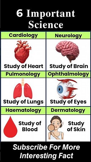 6 Important Science Branches Everyone Should Know #ScienceFacts #StudyTips #KnowledgeShorts