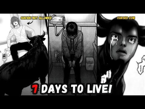 When You Only Have 7 Days To Live Because Of A Curse