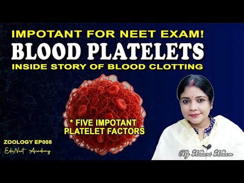 Platelets & Blood Clotting – Most Important Topic for NEET!