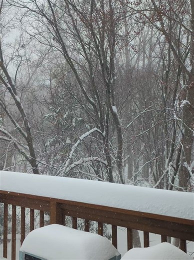 SOUND UP! We're having a heat wave... a tropical heat wave. 11