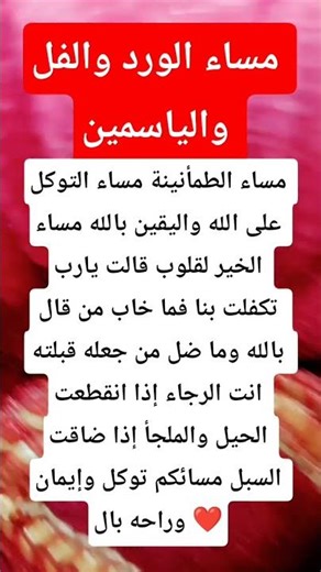مساء الورد والفل والياسمين#مساء_الورد #مساء_الفل #مساء_الياسمين