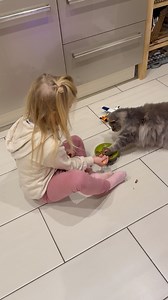 136K views · 2.5K reactions | Beste Freunde #heuwinkels #emma #bestefreunde #katze #kinder #liebe #füttern #fürsorglich #real #reality #reallife #familienleben #süß #essen #love #funny #cat #珞 # #❤️ # | Sven Heuwinkel | Facebook