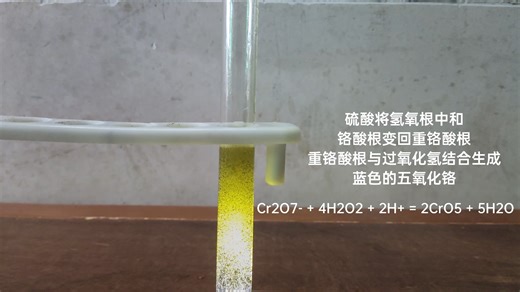 化学实验：海洋之心