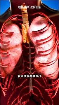 ​The Hidden Weapons of History: Poison Umbrellas & Ninja Stealth Secrets 🗡️ #Assassins #HistoryFacts