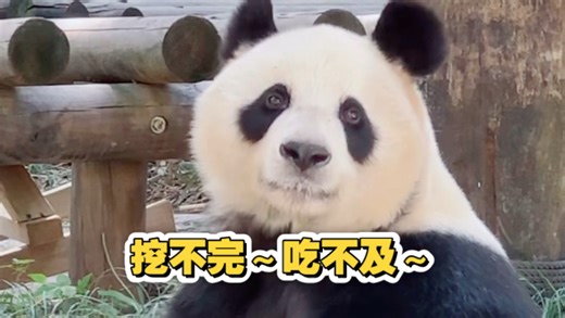 走哪儿挖哪儿的华丽丽：一秒一个，奶爸跟不上我的速度（狗头）～挖着挖着定住：怎么跟线面一样？吃不完根本吃不完～（260407不一样的喵直播录屏华丽cut）