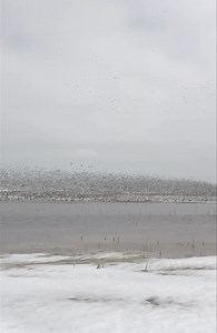 4.6K reactions · 902 shares | Books are now open for spring 2022!!...