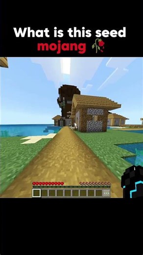 Minecraft bugrock seed moments