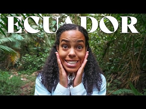 MINDO CLOUD FOREST| 96 HOURS IN ECUADOR'S BEST PLACE TO SEE BIRDS