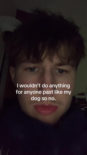 #rea #dogs #funny #blowthisup | dog